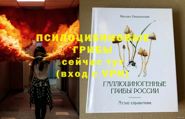 круглые Алексеевка